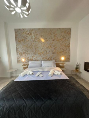 Alan home Torino